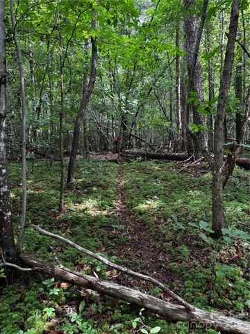 8485 Huffman Avenue, Connelly Springs, NC 28612