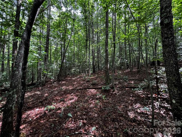 8485 Huffman Avenue, Connelly Springs, NC 28612