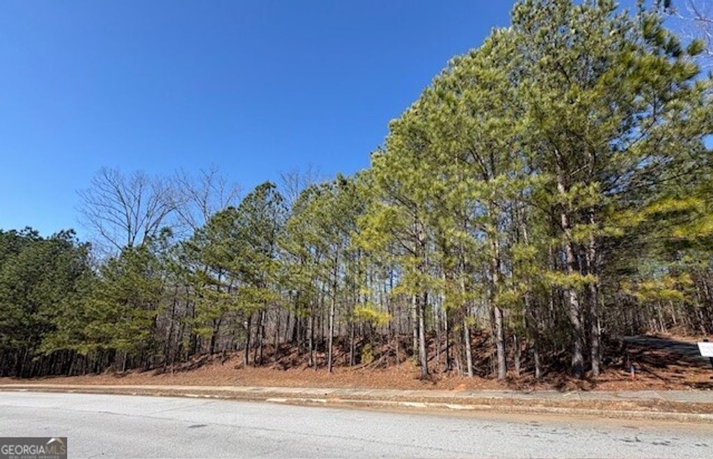 4340 Blue Ridge Drive, Douglasville, GA 30135