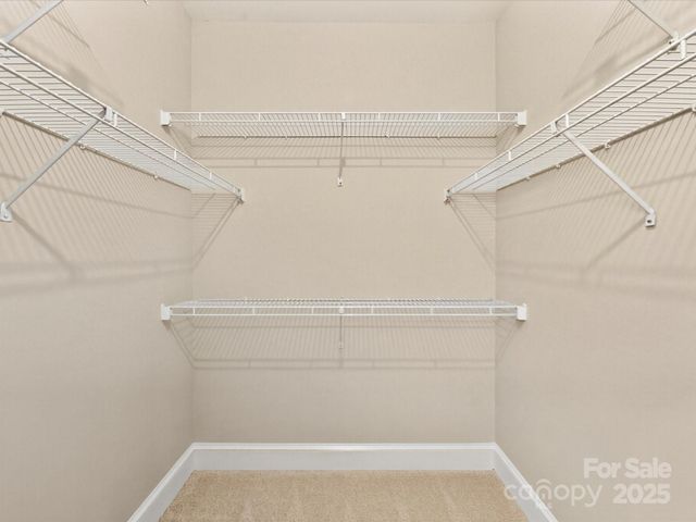 325 Queens Road 2, Charlotte, NC 28204