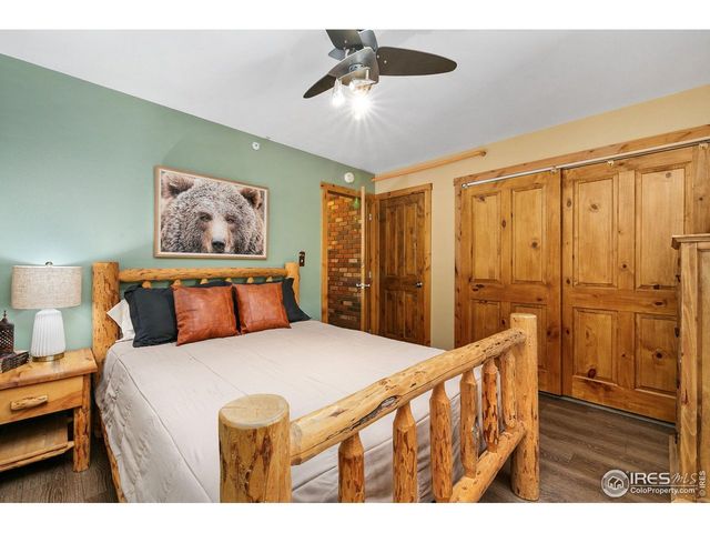 28 Sly Fox Rd, Drake, CO 80515