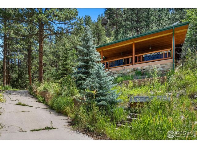 28 Sly Fox Rd, Drake, CO 80515