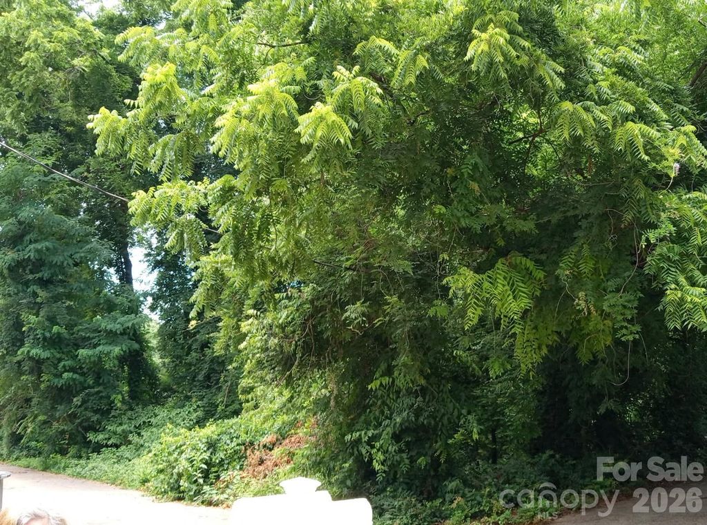 000 Ann Drive 170, Belmont, NC 28012