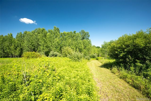 00 Hagerman Road, Addison Township, MI 48367