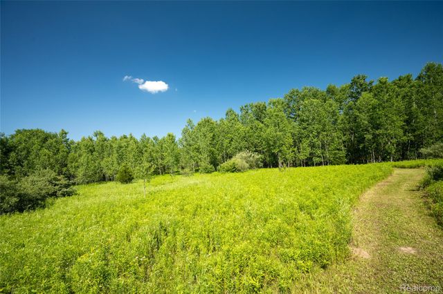 00 Hagerman Road, Addison Township, MI 48367