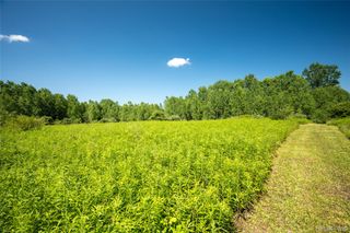 00 Hagerman Road, Addison Township, MI 48367