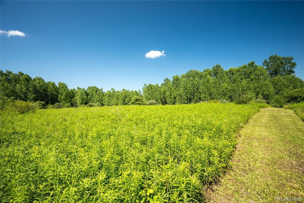 00 Hagerman Road, Addison Township, MI 48367