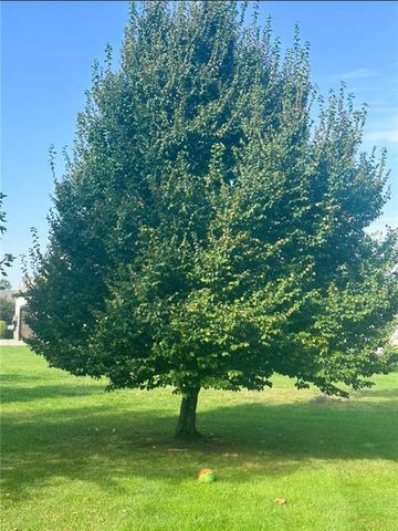 15516 Stearns Street, Overland Park, KS 66221