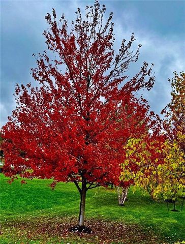 15516 Stearns Street, Overland Park, KS 66221