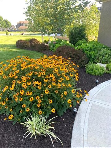 15516 Stearns Street, Overland Park, KS 66221