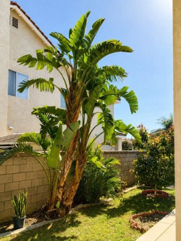 2847 S Holmes, Ontario, CA 91761