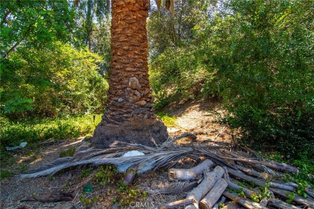 5614 Oso Avenue, Woodland Hills, CA 91367
