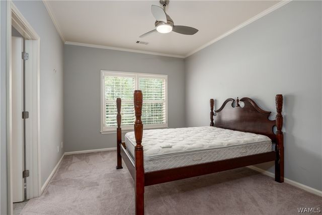 1633 Williamsburg, Tuscaloosa, AL 35406