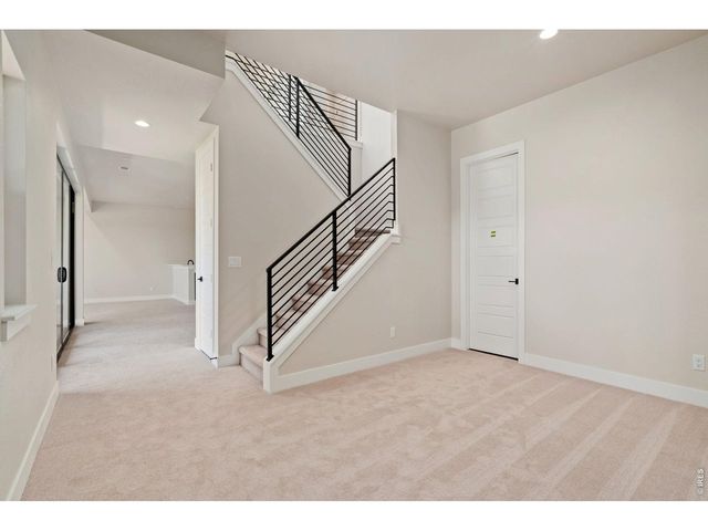 1653 Flourish Dr, Windsor, CO 80550