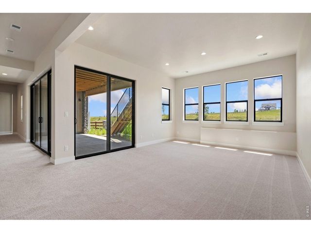 1653 Flourish Dr, Windsor, CO 80550