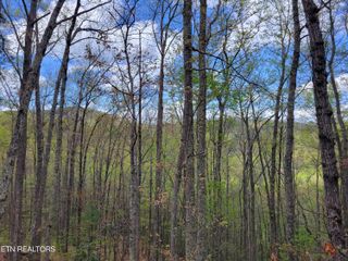 Lot 2 Sunset Drive, Sevierville, TN 37876