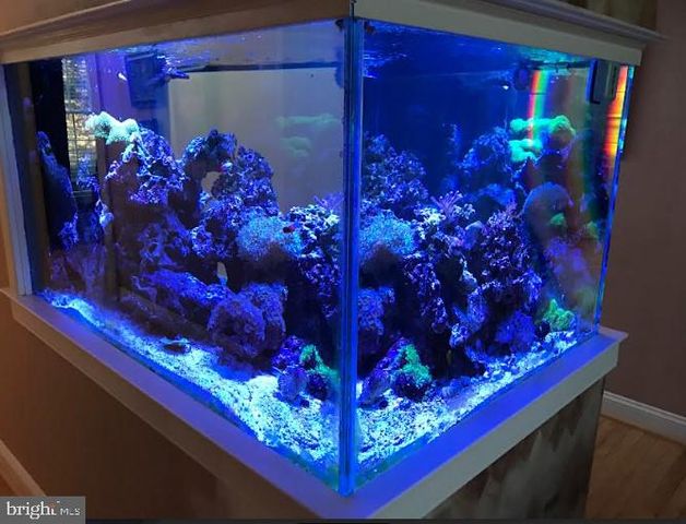 62 WOODSIDE LN, New Hope, PA 18938