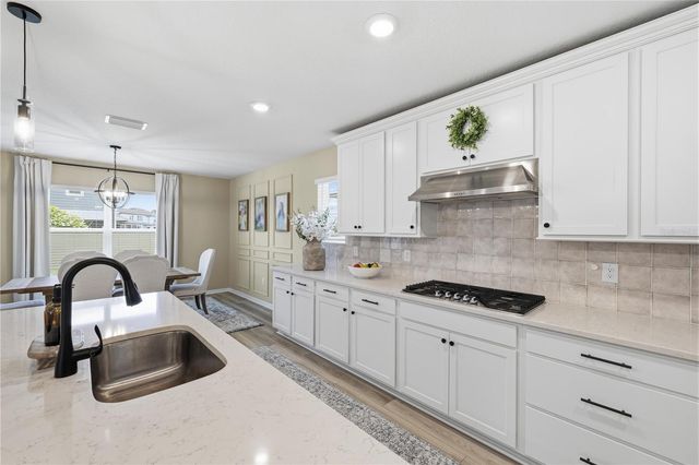 20958 DRAKE ELM DRIVE, Land O Lakes, FL 34638