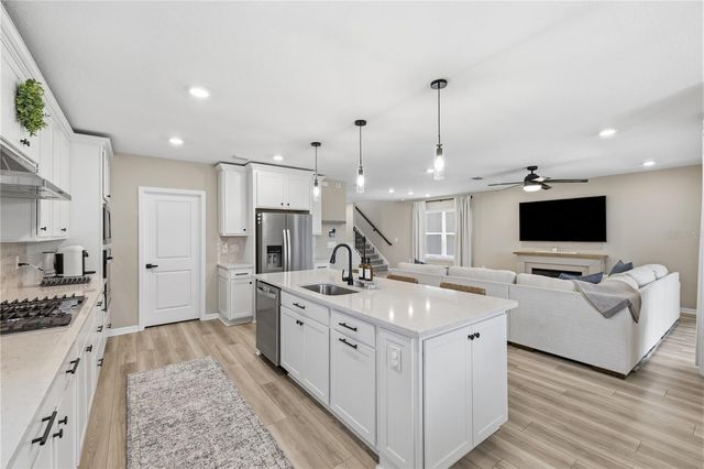 20958 DRAKE ELM DRIVE, Land O Lakes, FL 34638