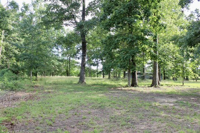 250 Clifford Dykes Rd, Tracy City, TN 37387