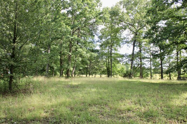 250 Clifford Dykes Rd, Tracy City, TN 37387