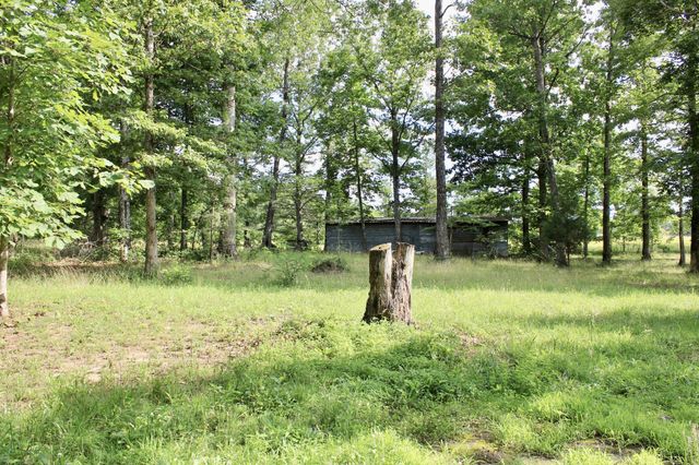 250 Clifford Dykes Rd, Tracy City, TN 37387