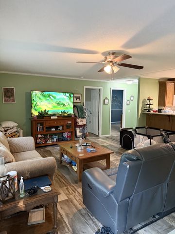 250 Clifford Dykes Rd, Tracy City, TN 37387