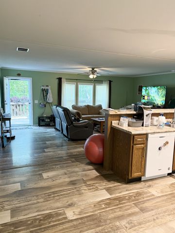 250 Clifford Dykes Rd, Tracy City, TN 37387