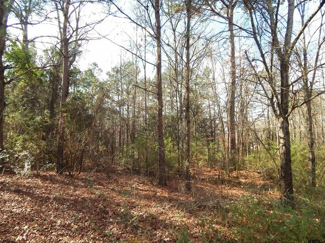 197 CR 4130D, Overton, TX 75684