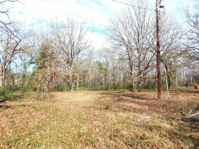 197 CR 4130D, Overton, TX 75684