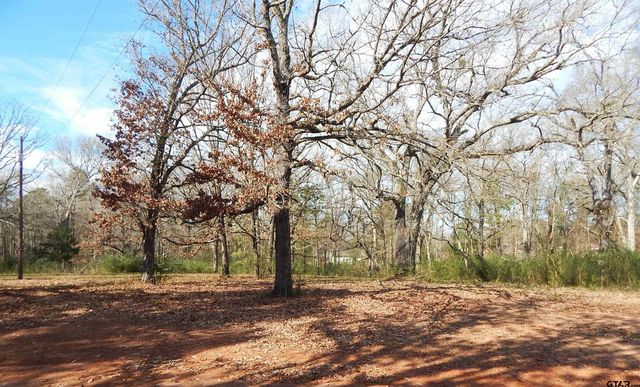 197 CR 4130D, Overton, TX 75684