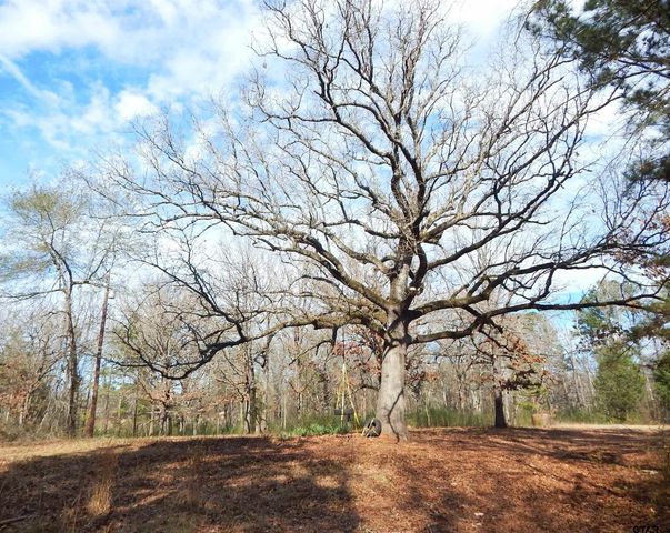 197 CR 4130D, Overton, TX 75684