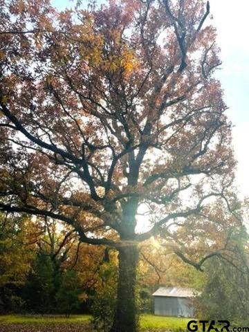 197 CR 4130D, Overton, TX 75684