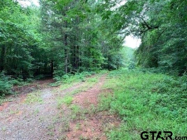 197 CR 4130D, Overton, TX 75684