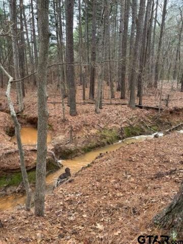 197 CR 4130D, Overton, TX 75684