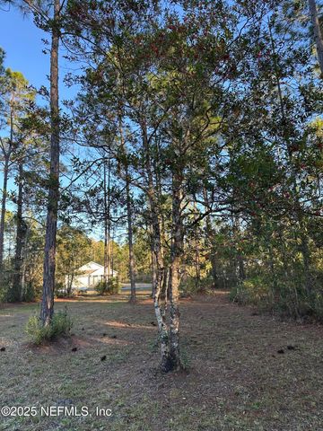 10205 BAYLOR Avenue, Hastings, FL 32145