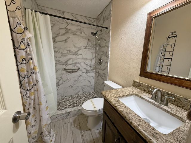 51 E Oakridge Drive, Point Blank, TX 77364