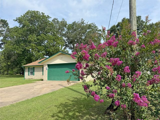 51 E Oakridge Drive, Point Blank, TX 77364