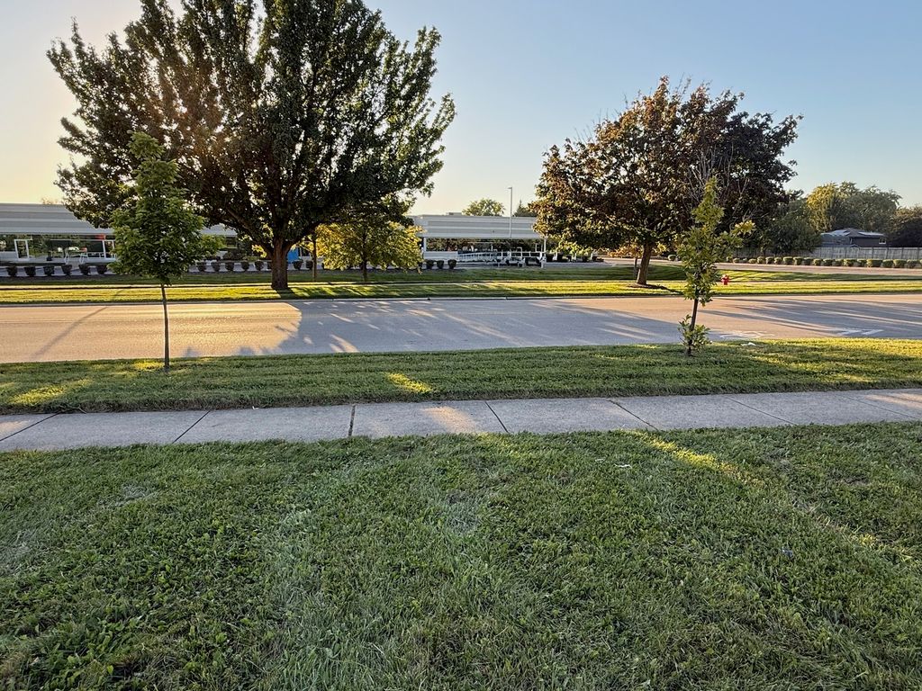 4671 old tavern Road, Lisle, IL 60532 — photo 3