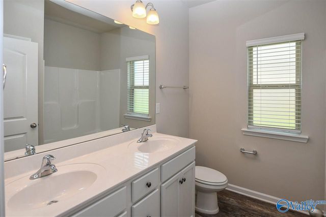 307 Ivyleaf Drive, Madison, AL 35757