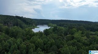 250 BUDDY VINES CAMP ROAD, Bessemer, AL 35130