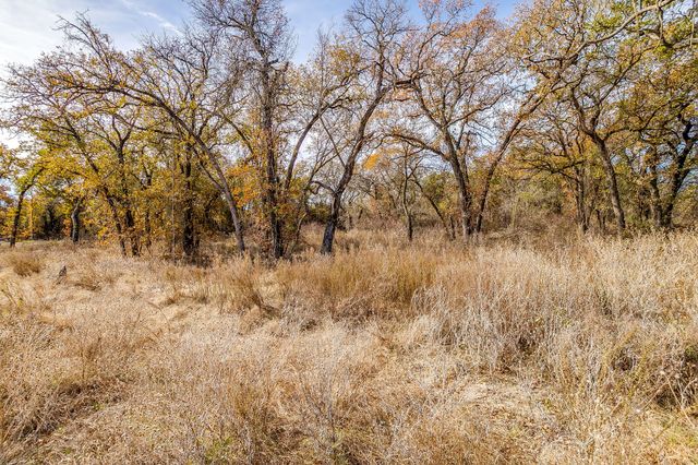 125 Prairie Winds Drive, Poolville, TX 76487