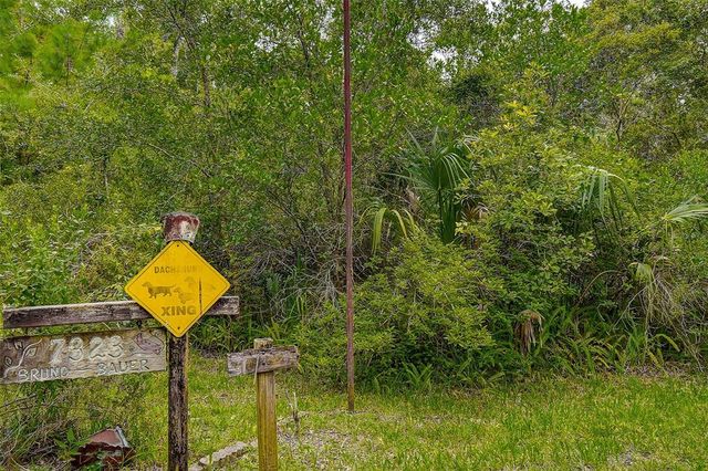7323 RAY BROWNING ROAD, Brooksville, FL 34601
