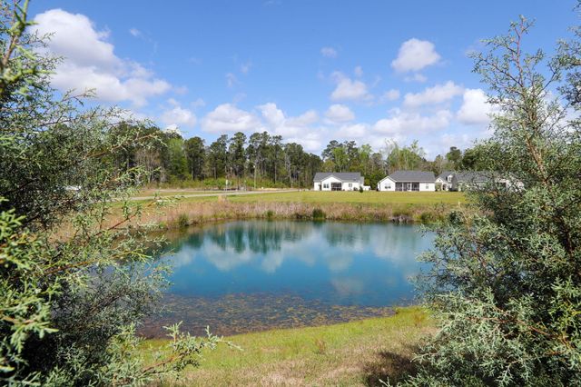 507 Whiddy Loop, Conway, SC 29526