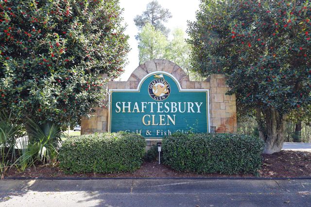 507 Whiddy Loop, Conway, SC 29526