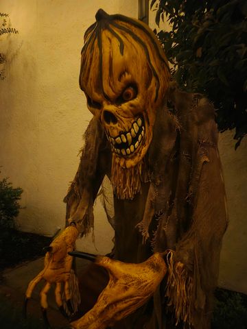 507 Whiddy Loop, Conway, SC 29526