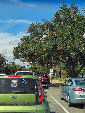 507 Whiddy Loop, Conway, SC 29526