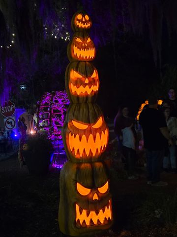 507 Whiddy Loop, Conway, SC 29526