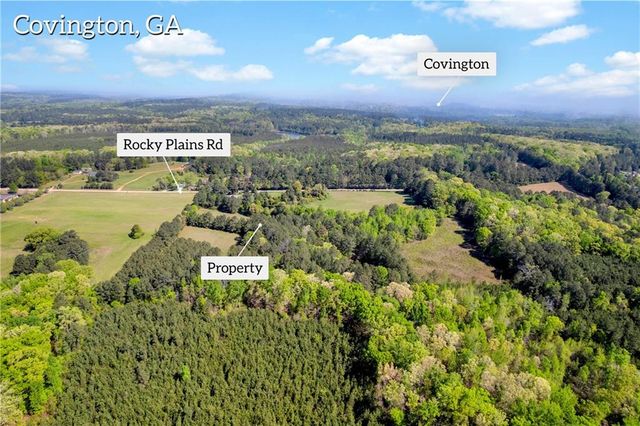 1025 Rocky Plains Road, Covington, GA 30016