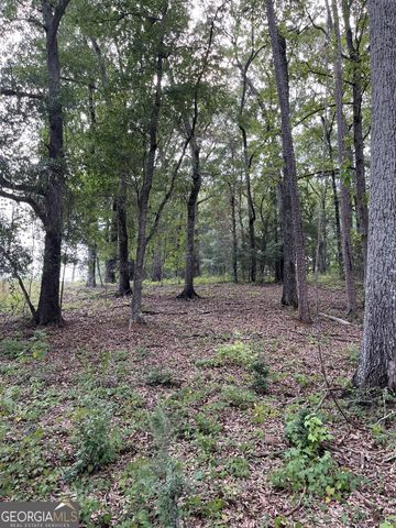1240 Summit Drive, Watkinsville, GA 30677